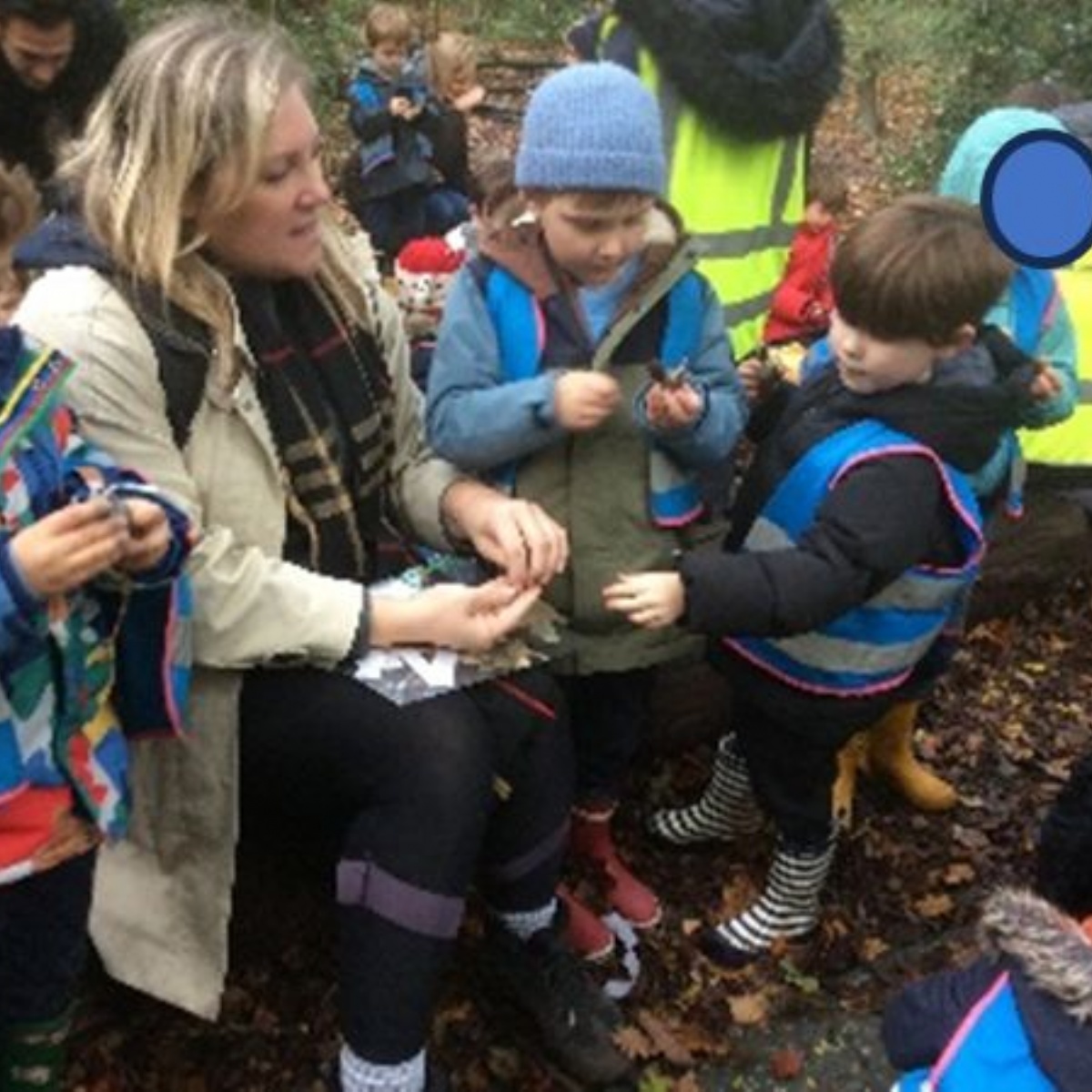 Tetherdown School Reception Autumn Workshop Highgate Woods tetherdown-school-reception-autumn-workshop-highgate-woods